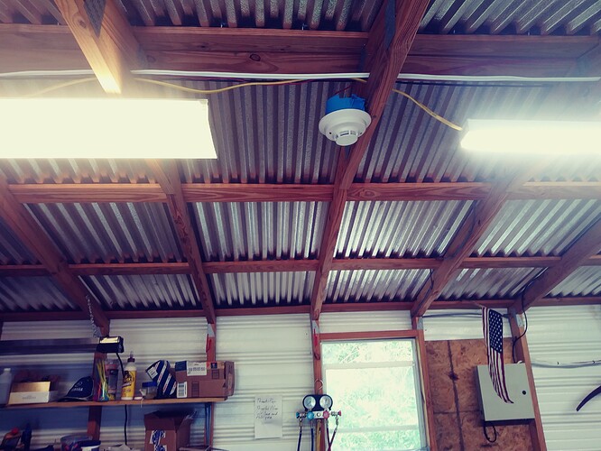 20210809_121921_Film1