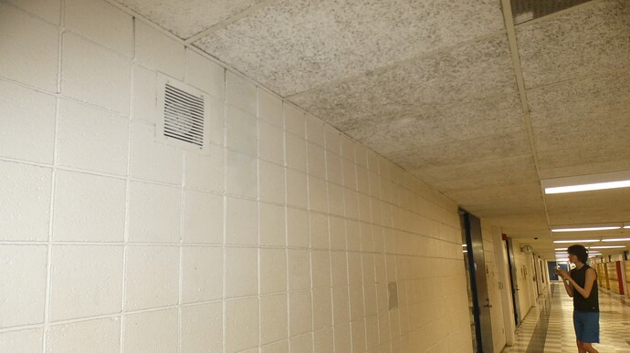 FB_IMG_1771128298936