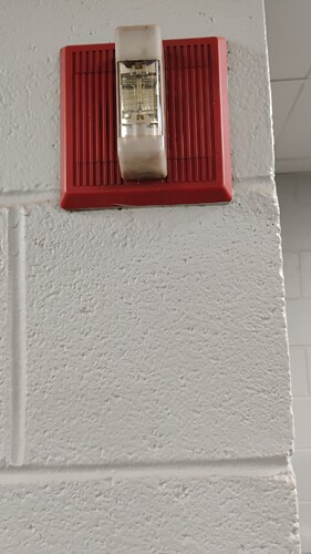 IMG_20250924_123022088