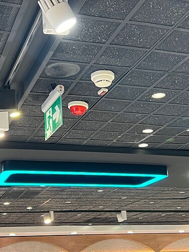 6DE2CDBE-98F6-4FE2-A952-A969E62F762D_1_105_c