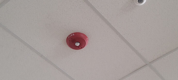 20250423_112101