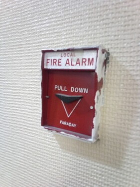 IMG_20251219_141952_669