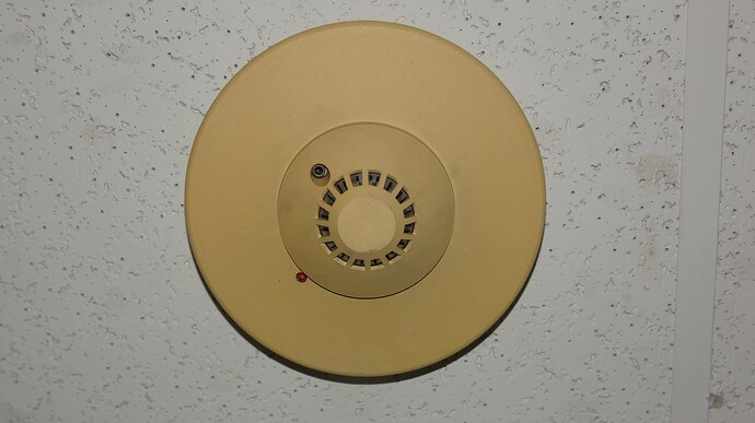 FB_IMG_1770987611817