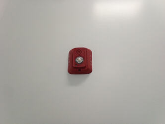 IMG_20260121_161954_372