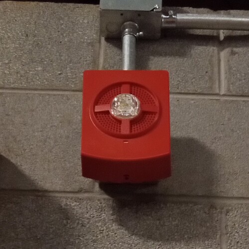 IMG_20251201_122824555_HDR