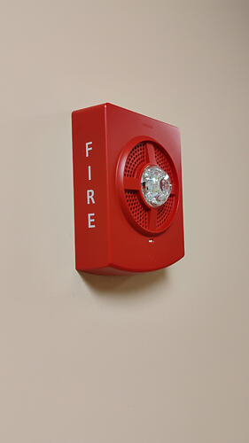 IMG_20251217_081055457