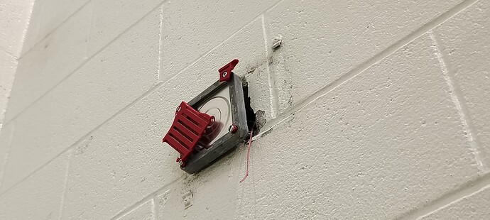 IMG_20251031_084006417_HDR