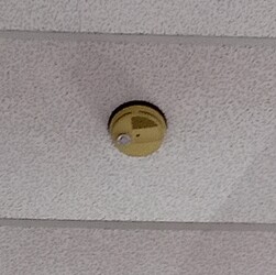 IMG_20250726_104718_590 (1)