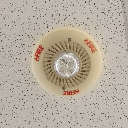 IMG_20250824_152942368