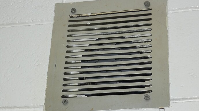 FB_IMG_1771128333714