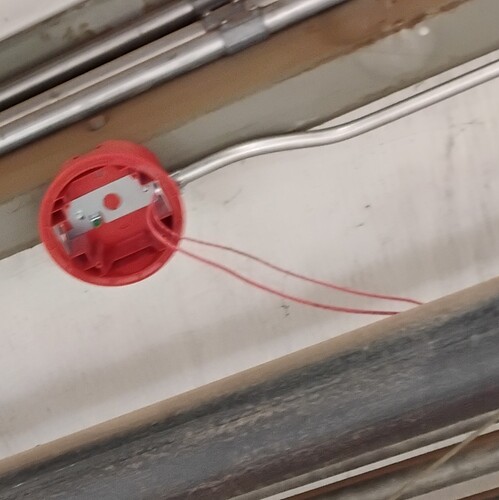 IMG_20251112_134317347