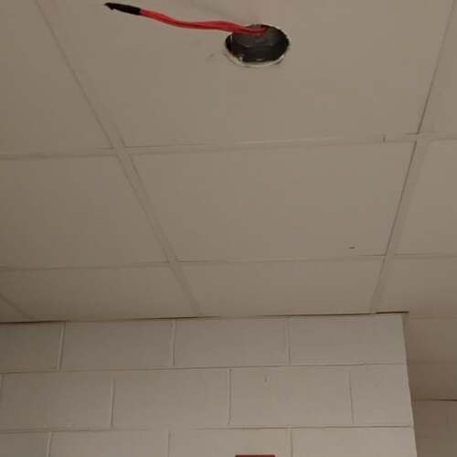 SnapInsta.to_584877980_17901086103315436_8666747920589961892_n