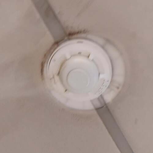 SnapInsta.to_582650237_17901086247315436_7228726402027642308_n