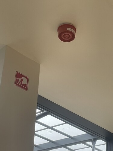 FBB2F1A4-5850-4749-BB76-2BE2B6CA01E6_1_105_c