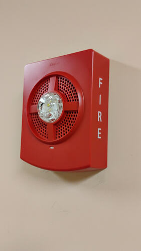 IMG_20251217_081107335