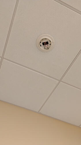 IMG_20251217_081207383