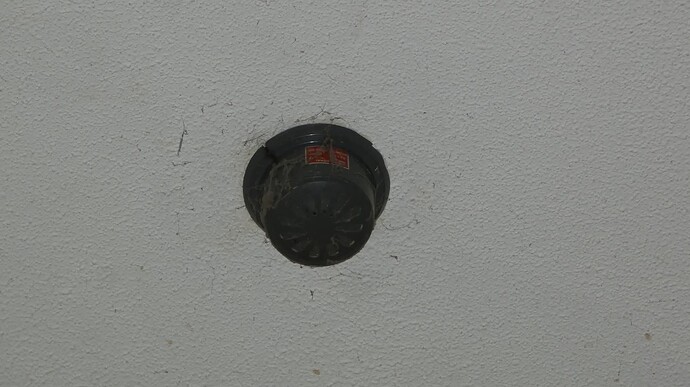 FB_IMG_1771128341045