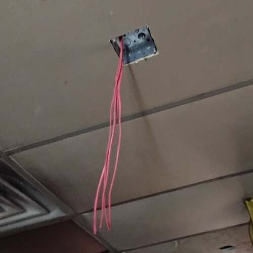 SnapInsta.to_583090090_17901086136315436_655994702185389872_n