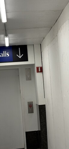 IMG_6133