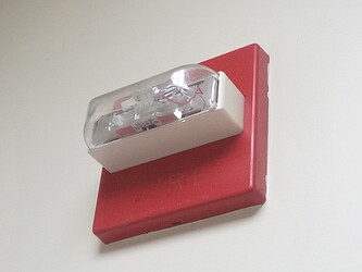 IMG_20250827_150205_787