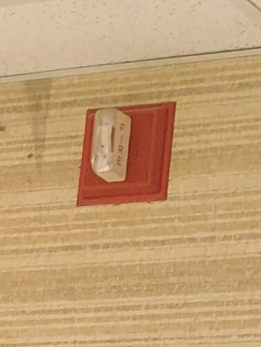 IMG_20250829_152703194