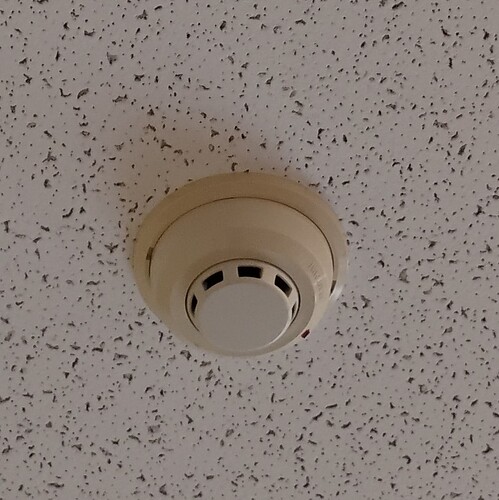 IMG_20250729_115125437