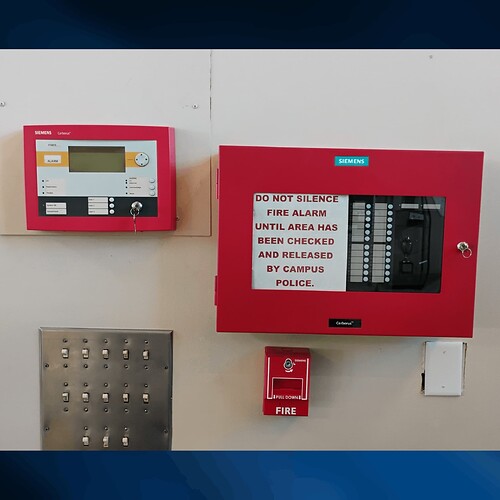 IMG_20250825_092350929-ig