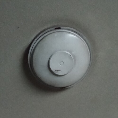 IMG_20251208_114555659