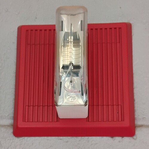 IMG_20251112_134609733