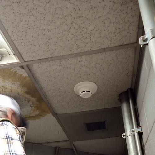 IMG_20251210_130017647_HDR