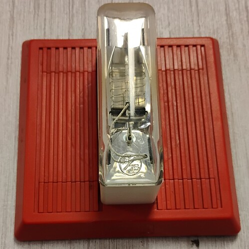 IMG_20251112_134513898