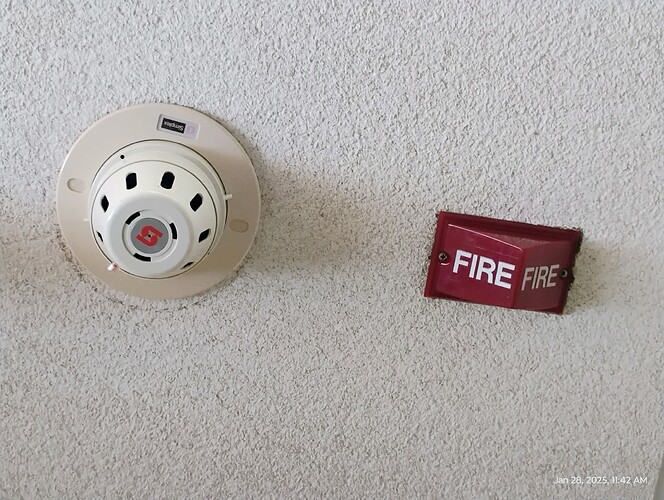 FB_IMG_1770323156609