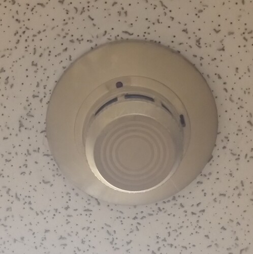 IMG_20251208_115450979