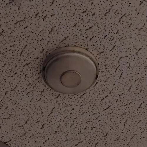 SnapInsta.to_584079584_17901086238315436_8935782763223525084_n