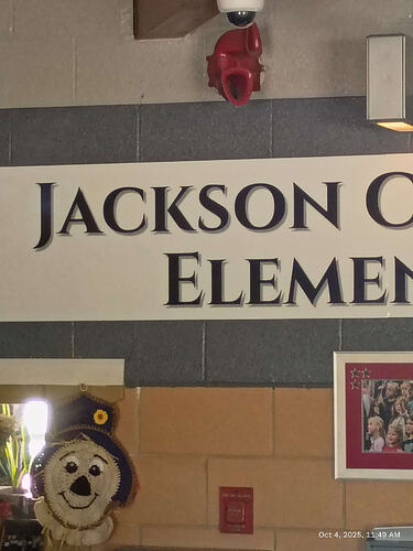 IMG_20251004_114938882