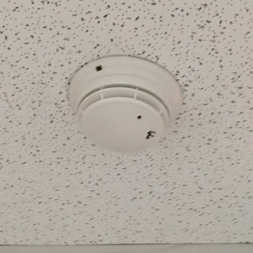 IMG_20250825_091827446