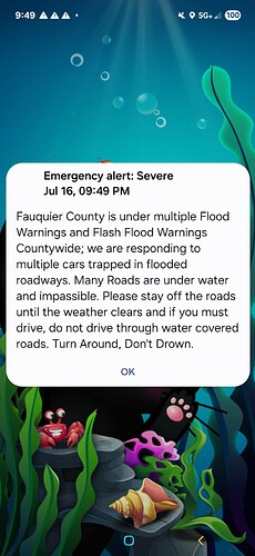 Screenshot_20250716_214919_Wireless Emergency Alerts