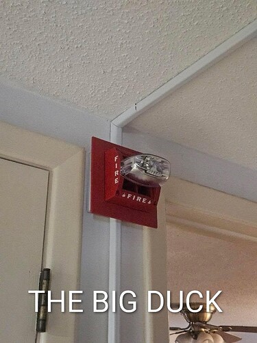 IMG_20251014_180148_113~2