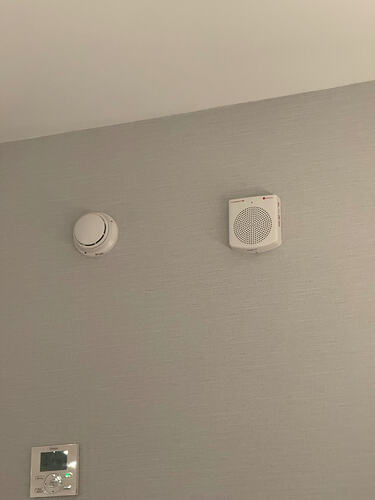 IMG3939