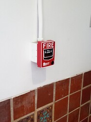 IMG_20251013_142908_286