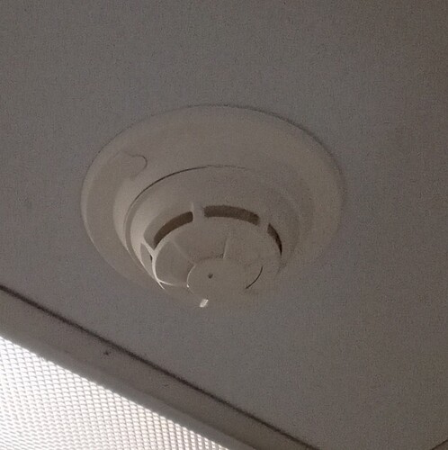 IMG_20251210_130830913_HDR