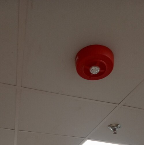 IMG_20251201_123016768_HDR