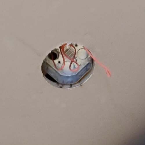 SnapInsta.to_584321318_17901086151315436_5253337168817933817_n