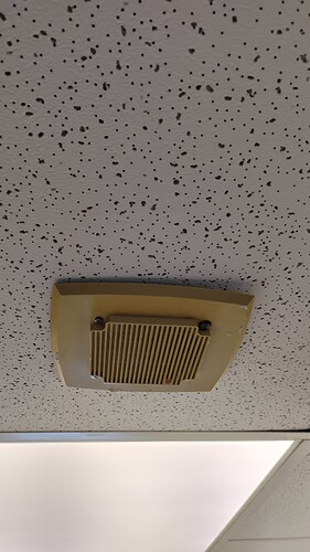 IMG_20250724_145636764_HDR