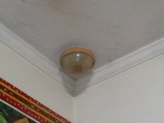 IMG_20251025_174634_625