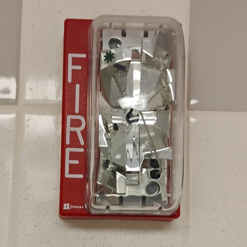 IMG_20250729_114944433