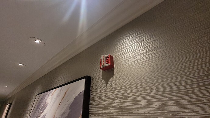 a82c301c-3319-46dd-8893-efbd0b73c4ca-1_all_2313