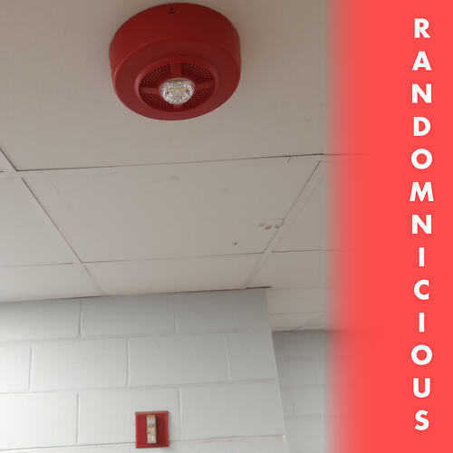 IMG_20251208_114345997-ig