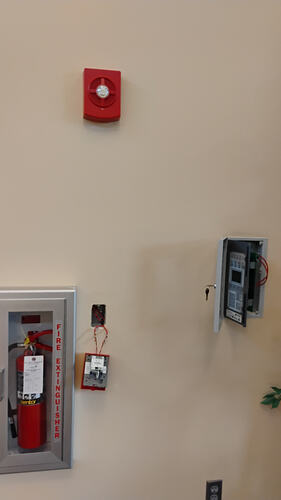 IMG_20251217_081118433