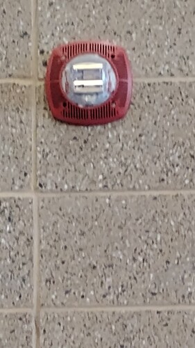 IMG_20251023_131556755